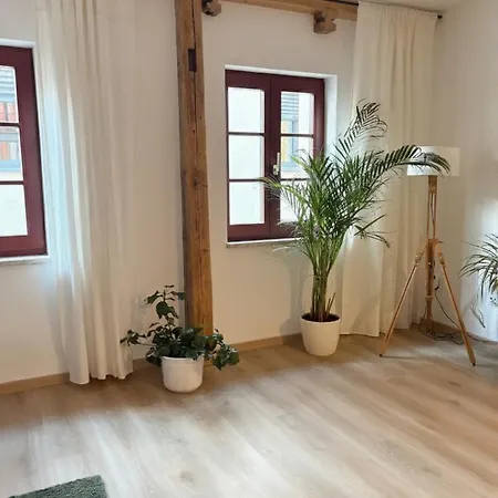 Апартаменты Modernes Altstadthaus - Stilvoll & Zentral Эрфурт